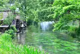 大王わさび農場