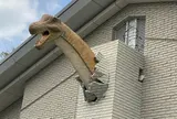 丹波竜化石工房ちーたんの館