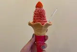 いちごボンボンベリー熱海ハウス