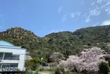 王子が岳