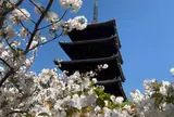 仁和寺