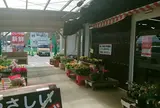 ごじゃ箱岬店