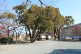 十九首水源地公園