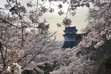 津山城跡