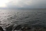 江ノ島の海