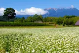 開田高原は蕎麦の産地