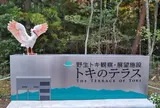 トキのテラス
