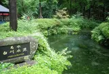 白川水源