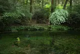 池山水源