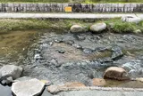 しあわせ青めのう