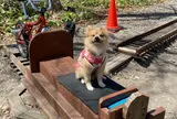 森のトロッコエコレール
