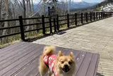 三国峠