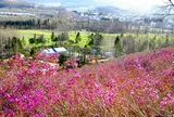 おんねゆ温泉つつじ公園