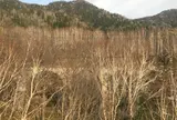中の沢陸橋