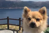 摩周湖