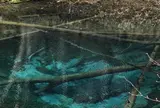 神の子池
