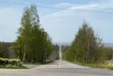 天に続く道