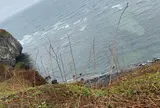 能取岬海岸
