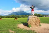 高橋牧場ニセコミルク工房