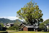 関川神社