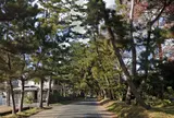 御油の松並木