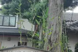 白須賀宿の火防