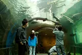 栃木県なかがわ水遊園