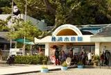 桂浜水族館