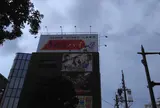 春華堂