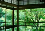 瑠璃光院
