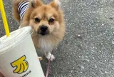 sonna banana onnason ソンナバナナ恩納村