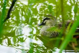軽井沢タリアセン