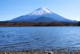他手合浜
