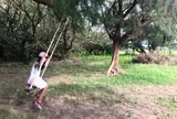 泡瀬干潟 潮干狩り