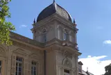 旧岩崎邸庭園