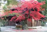 定光寺公園