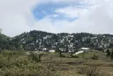 弥陀ヶ原（1,930m）
