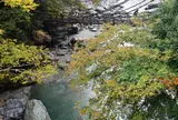 祖谷のかずら橋