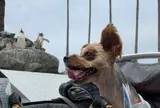 京急油壺マリンパーク