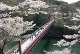 桜淵公園