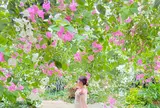 ユートピアファーム宮古島