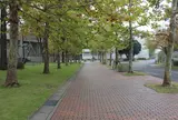 聖徳大学附属女子中学校・高等学校