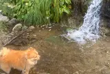 垂水の滝