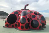 赤かぼちゃ