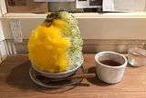 木と根