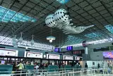 台湾桃園国際機場（Taiwan Taoyuan International Airport）