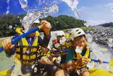アムスハウス&フレンズ