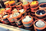 上海老城隍廟小吃広場