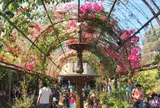 The Grounds of Alexandria