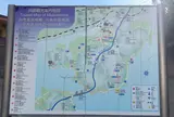 向島